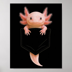 Cute Axolotl Cket Funny For Men Women Teen Kid  Poster