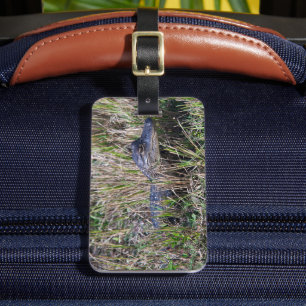 Cute Baby Alligator in Tall Florida Grass Luggage Tag