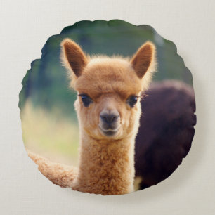 Cute Baby Alpaca Round Pillow