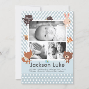Cute Baby Animals Boy Photo Birth Announcements