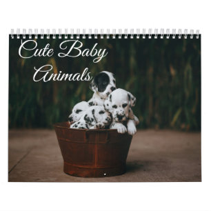 Cute Baby Animals Calendar