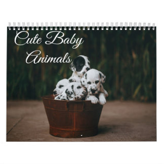 Cute Baby Animals Calendar