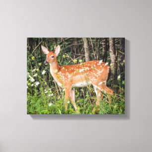Cute Baby Animals Fawn Deer Canvas Print