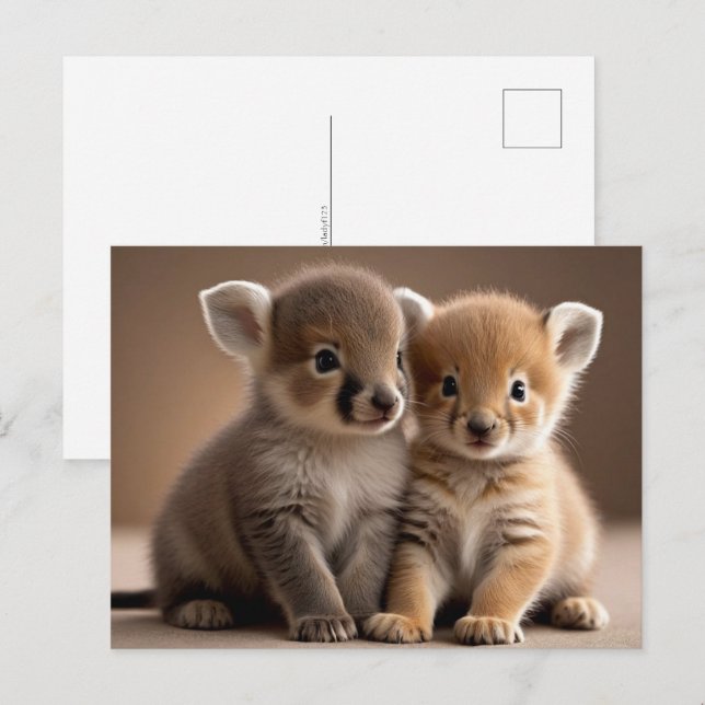 Cute Baby Animals, Postcrossing Postcard (Front/Back)