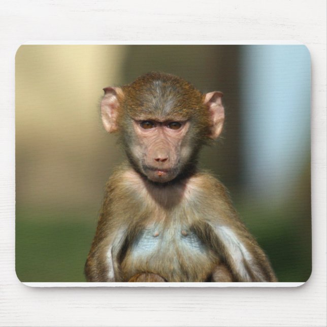Cute Baby Baboon Mousemat / Mousepad (Front)
