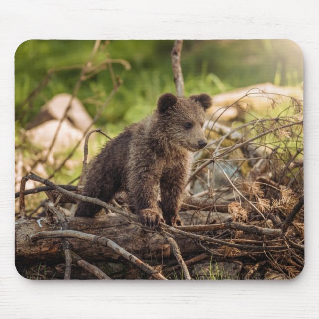 Cute Baby Bear in Woods Mouse Mat (Front)