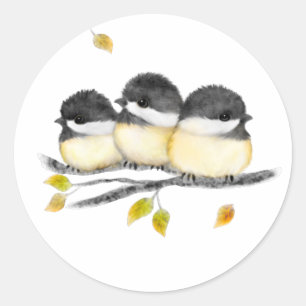 Cute Baby Bird 3 Chickadees on Tree Branch Classic Round Sticker