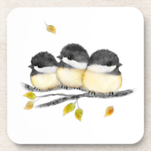 Cute Baby Bird 3 Chickadees on Tree Branch Coaster