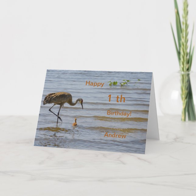 Cute Baby Bird in the lake Happy  1th Birthday Announcement (Front)