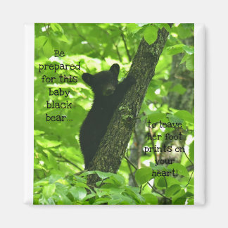 Cute baby black bear magnet