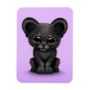 Cute Baby Black Panther Cub on Purple Magnet