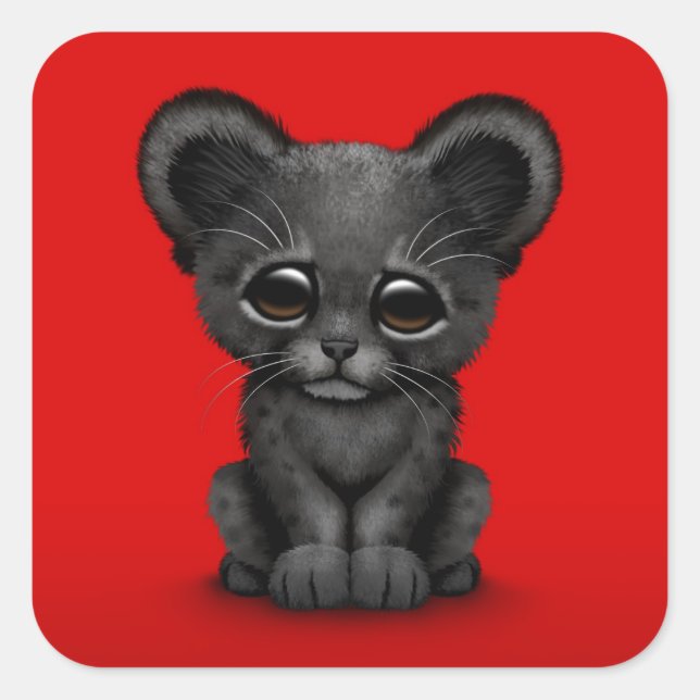 Cute Baby Black Panther Cub on Red Square Sticker (Front)