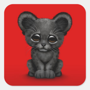 Cute Baby Black Panther Cub on Red Square Sticker