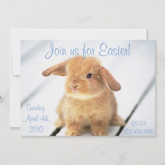 Cute Baby Bunny Easter Invitations (Front)
