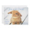 Cute Baby Bunny Easter Invitations