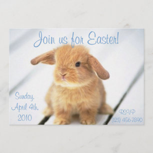 Cute Baby Bunny Easter Invitations