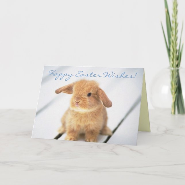 Cute Baby Bunny Happy Easter Design Holiday Card (Front)