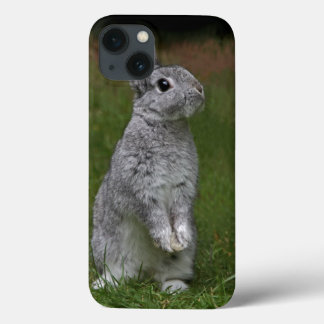Cute Baby Bunny iPad Case