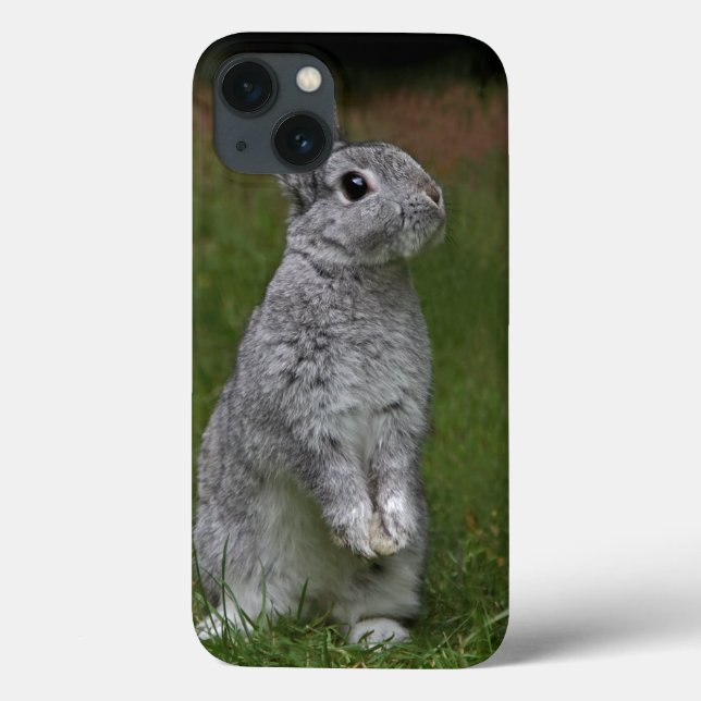 Cute Baby Bunny iPad Mini Case (Back)