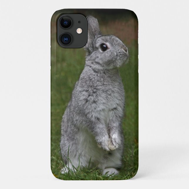 Cute Baby Bunny iPhone 11 Case (Back)