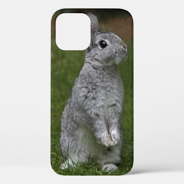 Cute Baby Bunny iPhone 12 Case (Back)