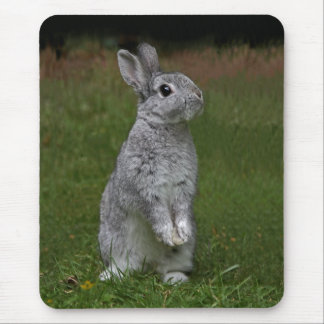 Cute Baby Bunny Mousemat
