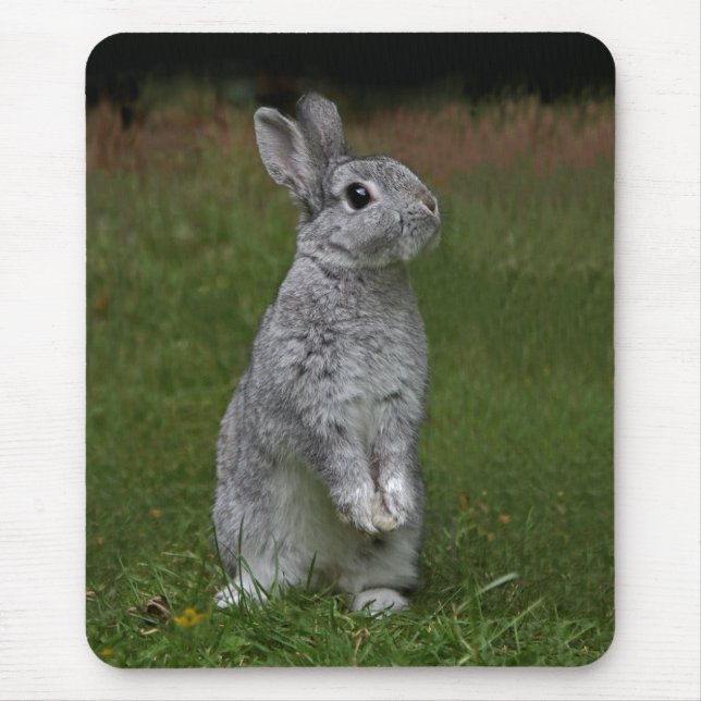 Cute Baby Bunny Mousemat (Front)