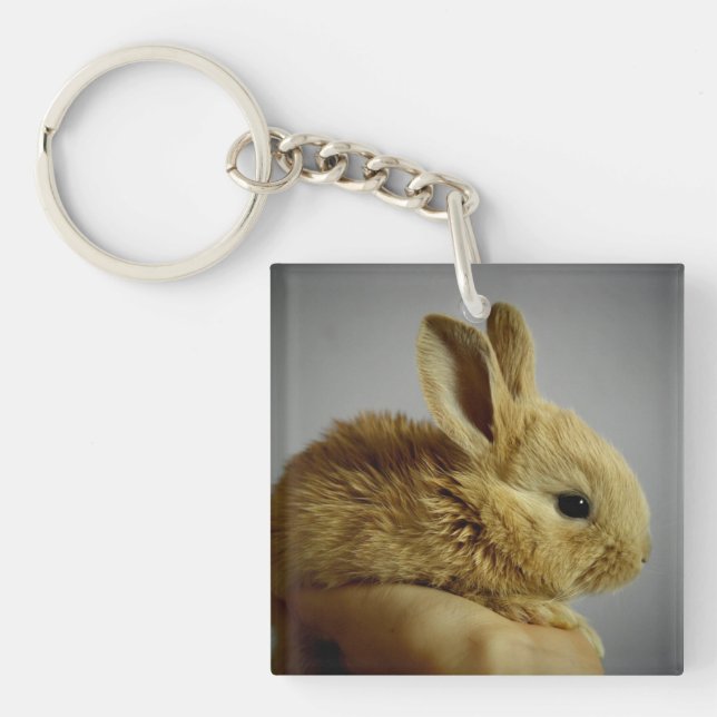 Cute Baby Bunny Rabbit in Hand Key Ring (Front)