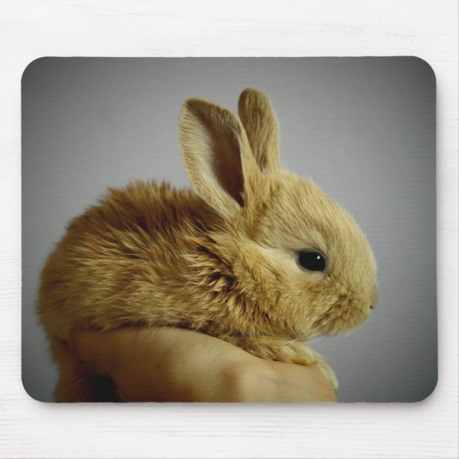 Cute Baby Bunny Rabbit in Hand Mouse Mat (Front)