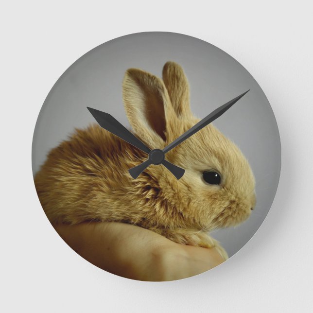 Cute Baby Bunny Rabbit in Hand Round Clock (Front)