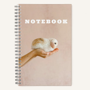 Cute Baby Bunny Rabbit Notebook