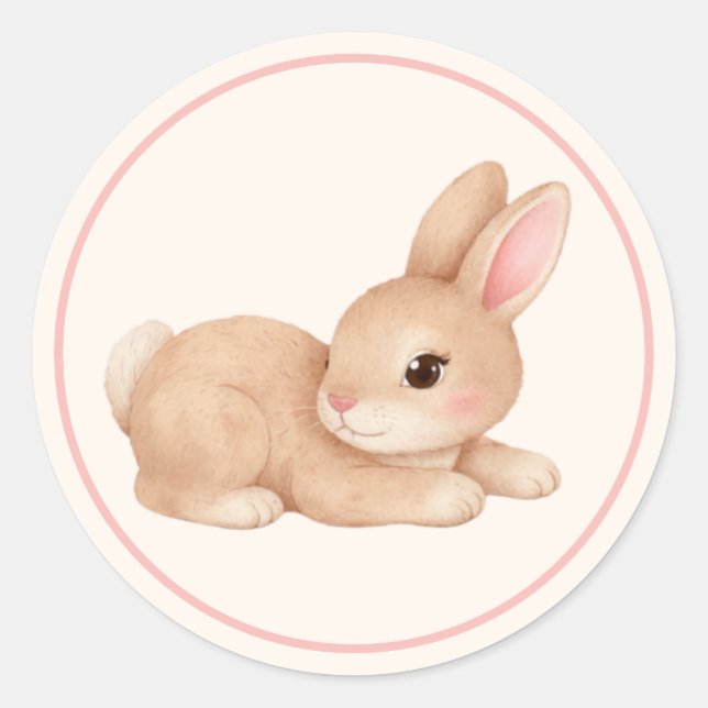 Cute Baby Bunny Rabbit Pink Cheeks Classic Round Sticker (Front)