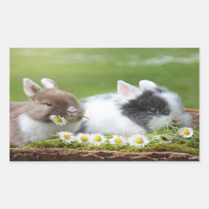 Cute Baby Bunny Rabbits with Flowers Rectangular Sticker