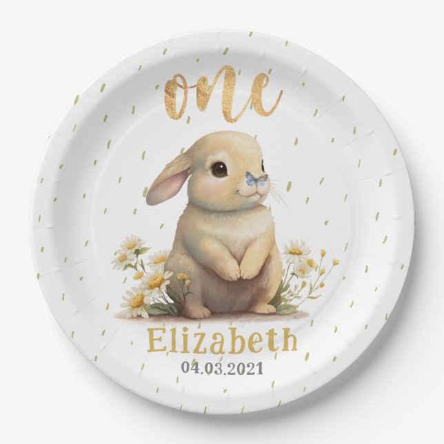 Cute Baby Bunny with Butterfly 1st Birthday Party Paper Plate (Front)