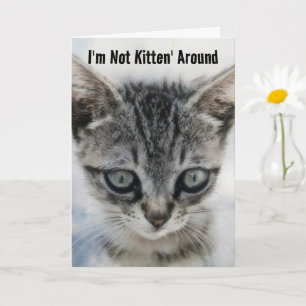 Cute Baby Cat Kitten Fun Pun Birthday Card