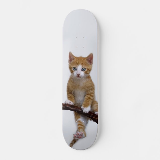 Cute Baby Cat Kitten Funny Gym Photo - Skateboard (Front)