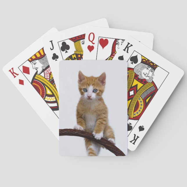 Cute Baby Cat Kitten Play Funny Gym Photo - Playing Cards (Back)