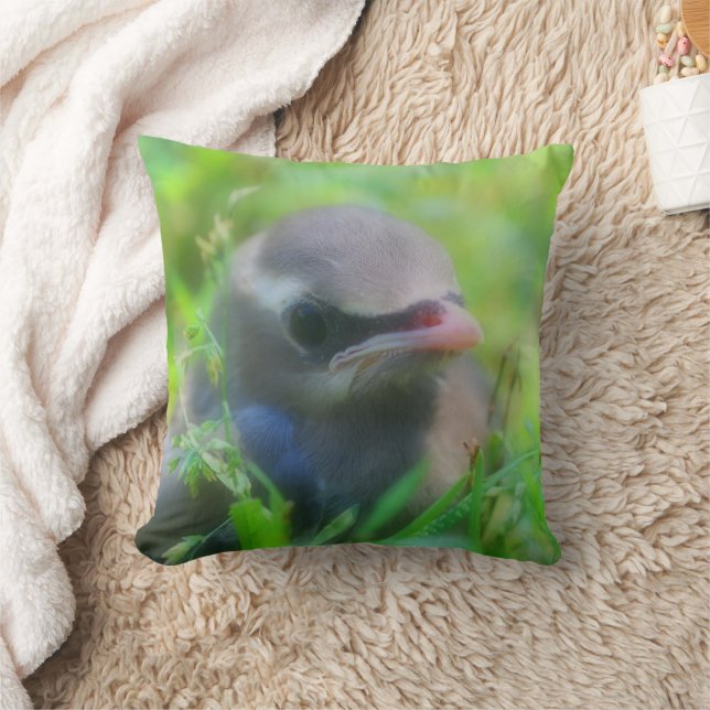 Cute Baby Cedar Waxwing Bird  Cushion (Blanket)