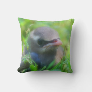 Cute Baby Cedar Waxwing Bird  Cushion