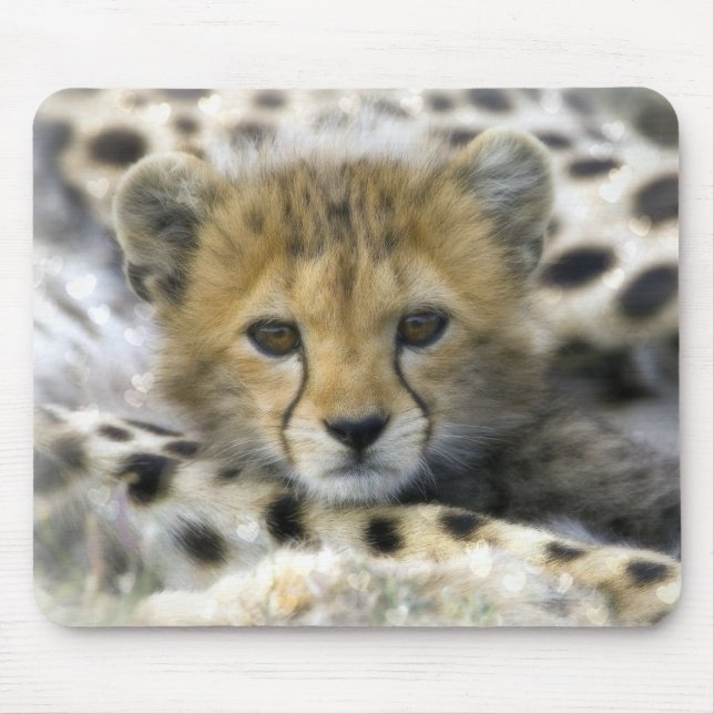 Cute Baby Cheetah Mouse Mat (Front)