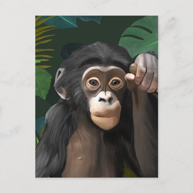 Cute Baby Chimpanzee Tropical Jungle leaves Postcard (Front)