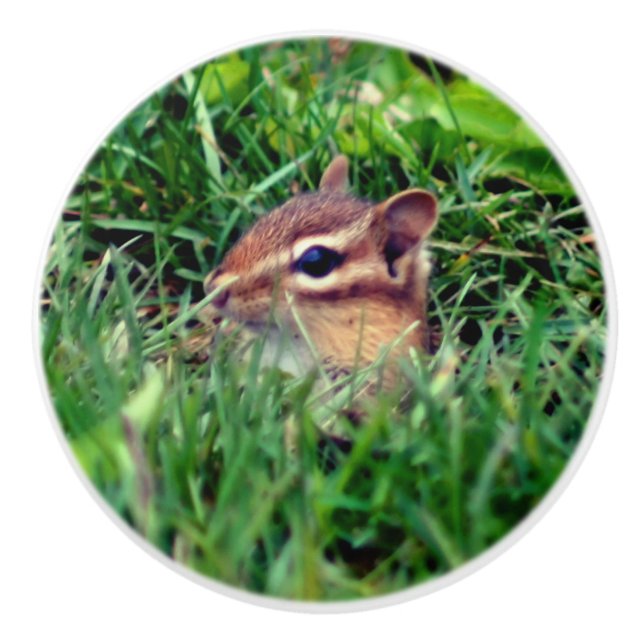 Cute Baby Chipmunk Peeking Wildlife   Ceramic Knob (Front)