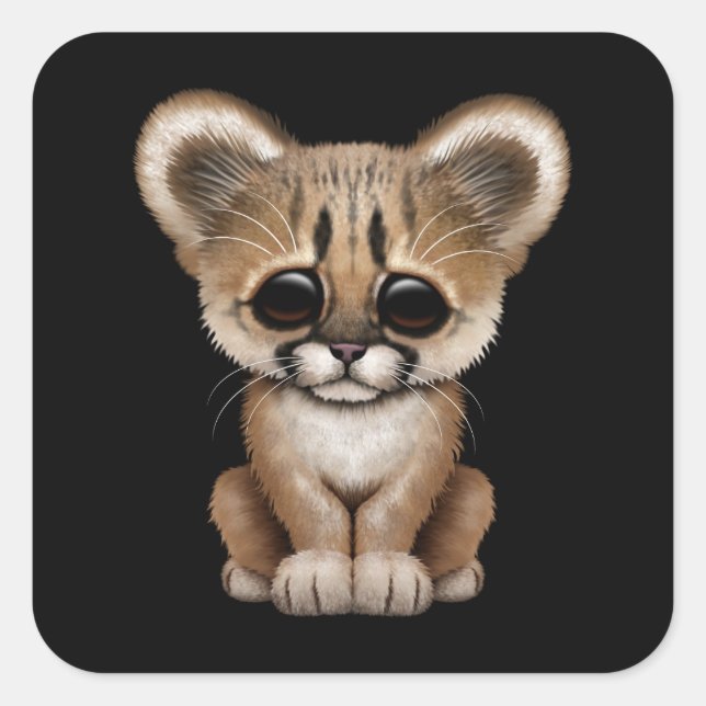 Cute Baby Cougar Cub on Black Square Sticker (Front)
