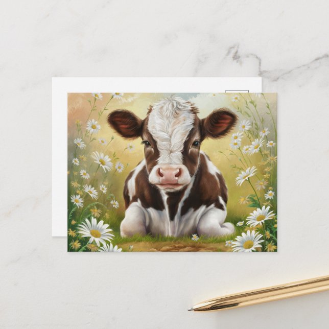 Cute Baby Cow in a field of Daisies Postcard (Front/Back In Situ)