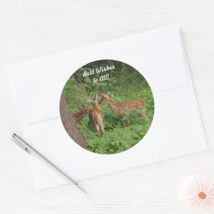 Cute Baby Deer Best Wishes Classic Round Sticker