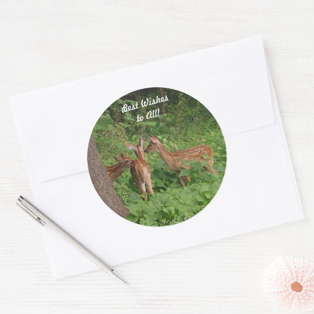 Cute Baby Deer Best Wishes Classic Round Sticker (Envelope)
