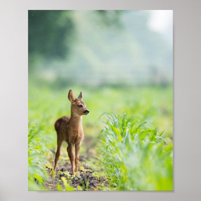 Cute Baby Deer Fawn in Grass Nature Photography Poster (Front)