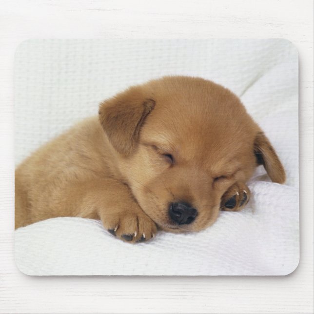 Cute Baby Dog Mouse Mat (Front)