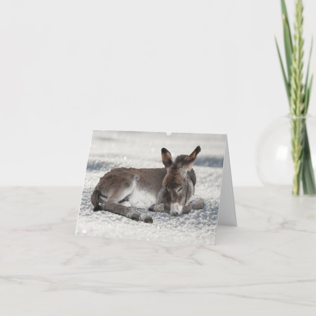 Cute Baby Donkey in the Snow Christmas Card (Front)