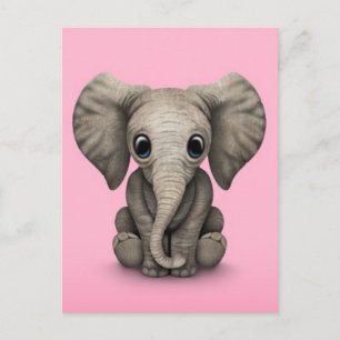 Cute Baby Elephant Calf Sitting Down, Pink Postcard